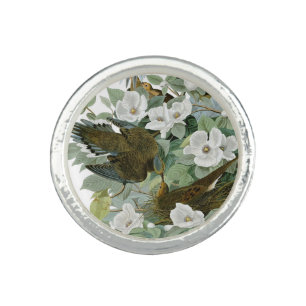 Carolina Pigeon Audubon Morning Dove Bird Ring