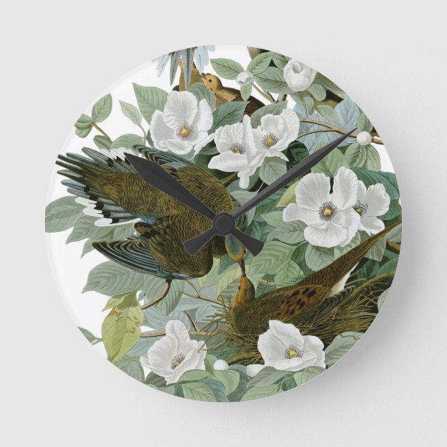 Carolina Pigeon Audubon Morning Dove Bird Round Clock (Front)