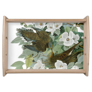 Carolina Pigeon Audubon Morning Dove Bird Serving Tray