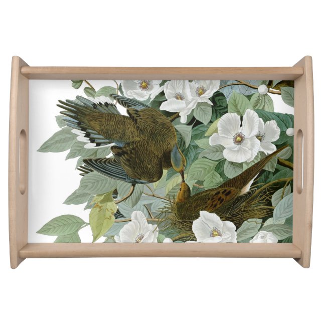 Carolina Pigeon Audubon Morning Dove Bird Serving Tray (Front)