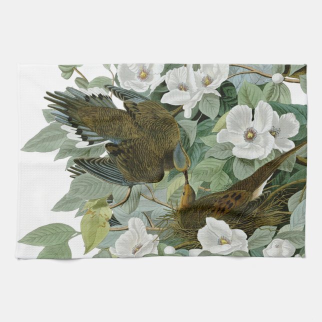 Carolina Pigeon Audubon Morning Dove Bird Towel (Horizontal)