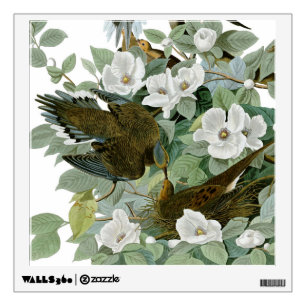 Carolina Pigeon Audubon Morning Dove Bird Wall Decal