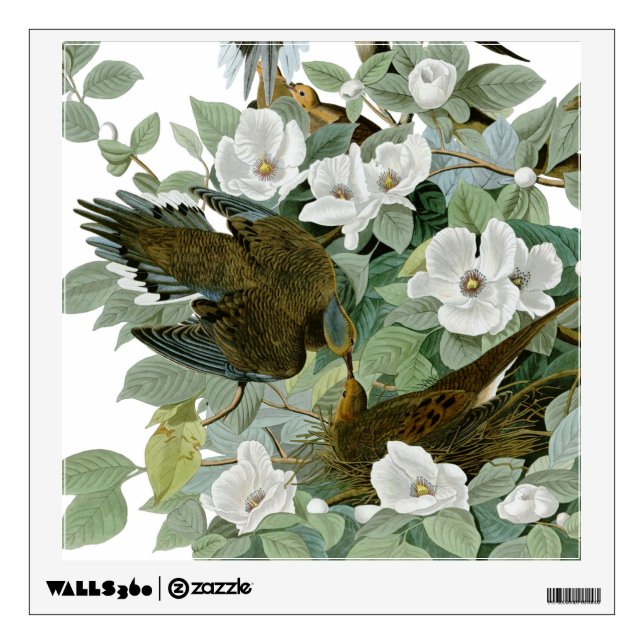 Carolina Pigeon Audubon Morning Dove Bird Wall Decal (Front)