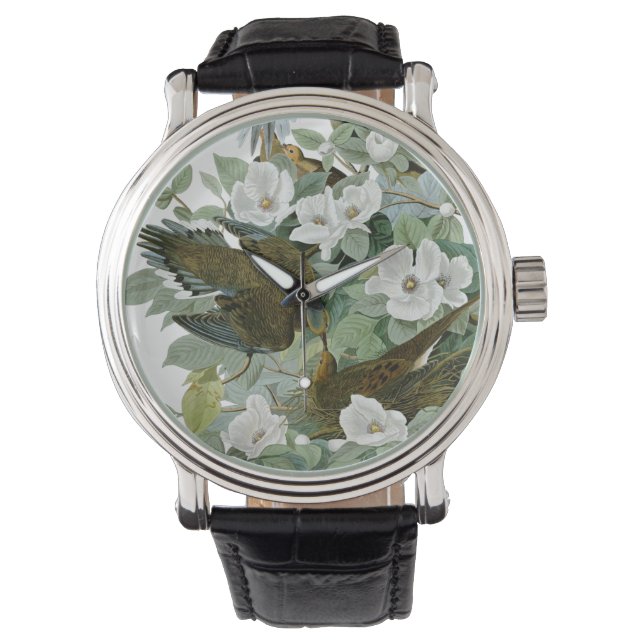 Carolina Pigeon Audubon Morning Dove Bird Watch (Front)