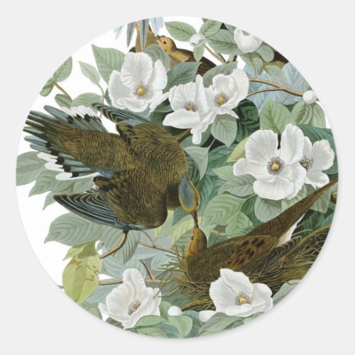 Carolina Pigeon Audubon Morning Dove Classic Round Sticker