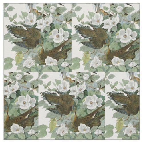 Carolina Pigeon Audubon Morning Dove Fabric