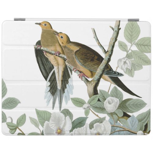 Carolina Pigeon Audubon Morning Dove iPad Smart Cover