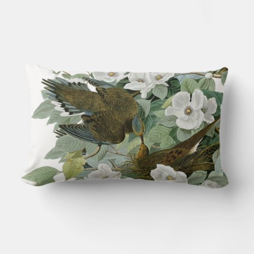 Carolina Pigeon Audubon Morning Dove Lumbar Pillow