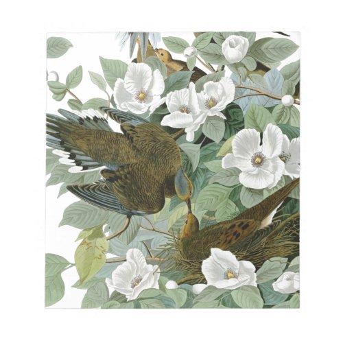 Carolina Pigeon Audubon Morning Dove Notepad