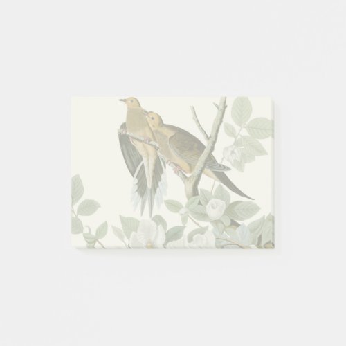 Carolina Pigeon Audubon Morning Dove Post_it Notes