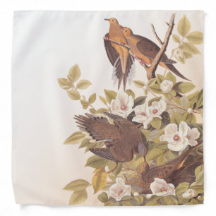 Carolina Pigeon or Mourning Dove Bandana