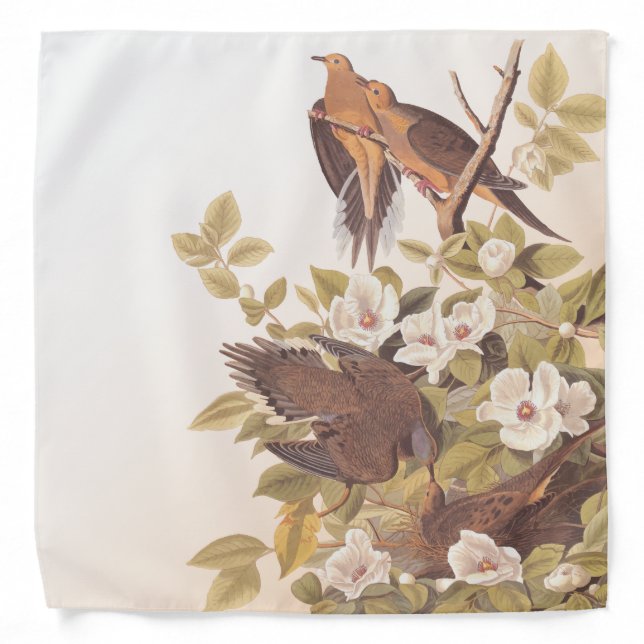 Carolina Pigeon or Mourning Dove Bandana (Front)