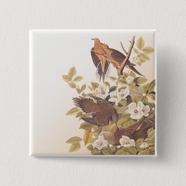 Carolina Pigeon or Mourning Dove Button (Front)
