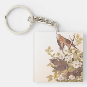 Carolina Pigeon or Mourning Dove Keychain