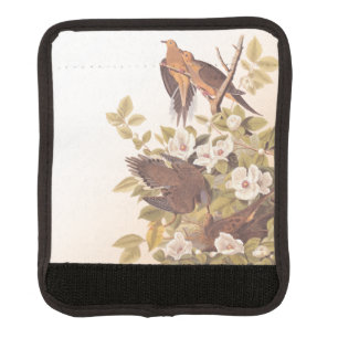 Carolina Pigeon or Mourning Dove Luggage Handle Wrap