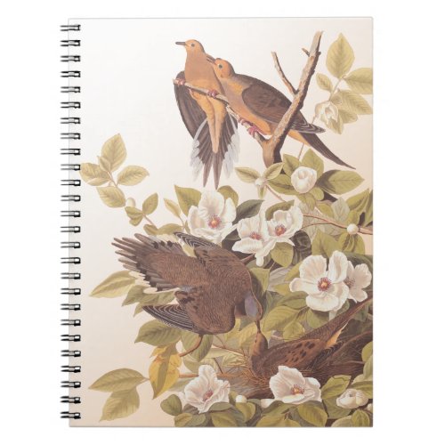 Carolina Pigeon or Mourning Dove Notebook