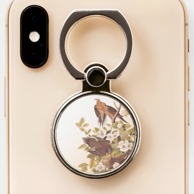 Carolina Pigeon or Mourning Dove Phone Ring Stand (Close Up)