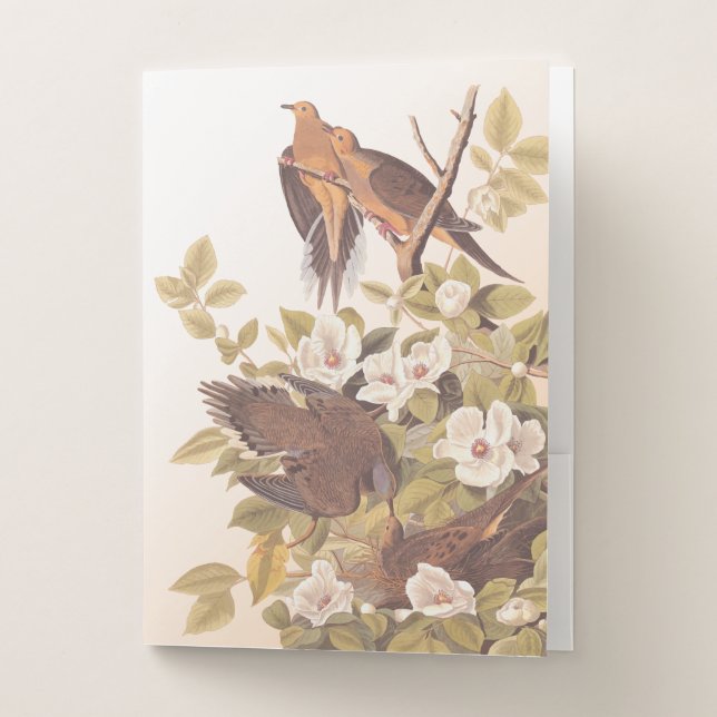 Carolina Pigeon or Mourning Dove Planner Pocket Folder (Front)