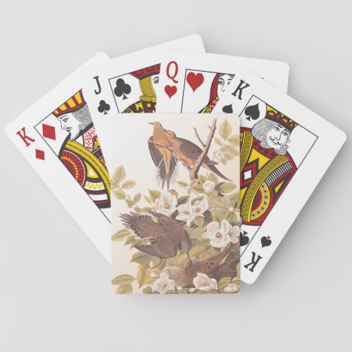 Carolina Pigeon or Mourning Dove Poker Cards