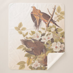 Carolina Pigeon or Mourning Dove Sherpa Blanket