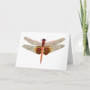 Carolina Saddlebags Dragonfly Card
