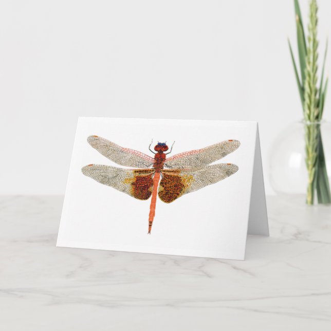 Carolina Saddlebags Dragonfly Card (Front)