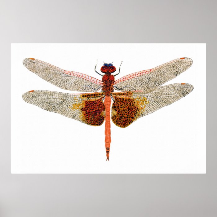 Carolina Saddl Dragonfly Print