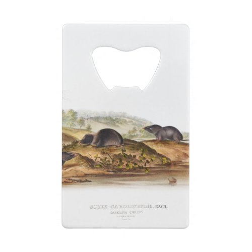 Carolina Shrew House Mouse Girl Boy Room Credit Card Bottle Opener