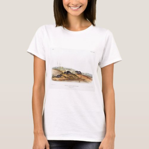 Carolina Shrew House Mouse Girl Boy Room T_Shirt