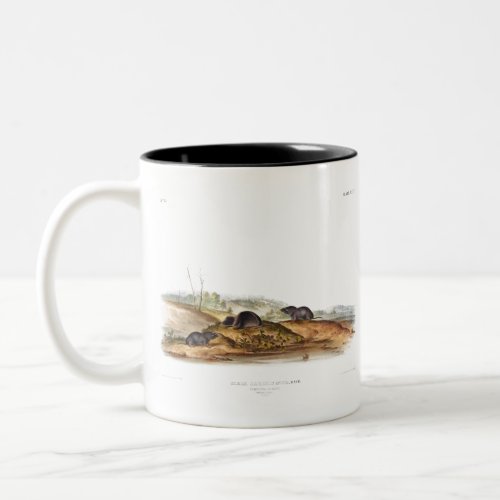 Carolina Shrew House Mouse Girl Boy Room Two_Tone Coffee Mug