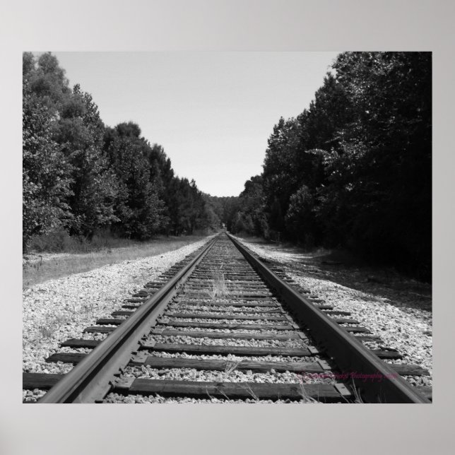 Carolina Tracks Poster (Front)