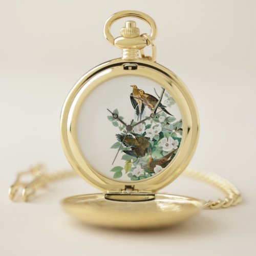 Carolina Turtle Dove Birds of America by John Jam Pocket Watch