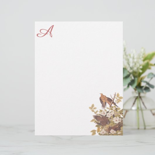 Carolina Turtle Dove Custom Letterhead (Standing Front)