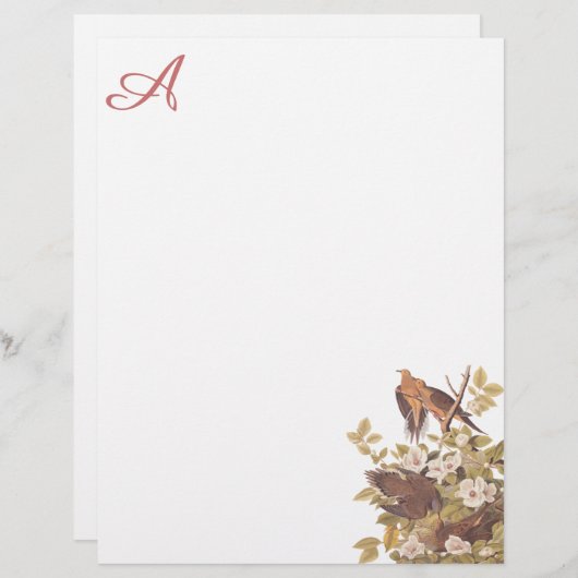 Carolina Turtle Dove Custom Letterhead (Front/Back)