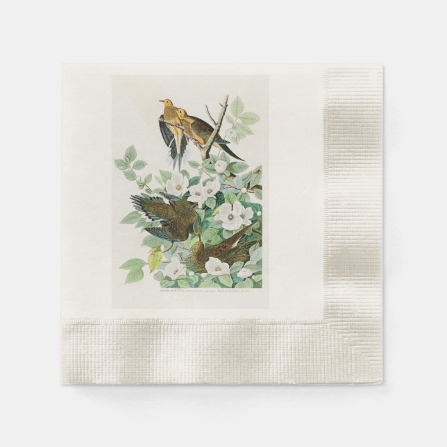 Carolina Turtle Dove John Audubon Birds of America Napkins (Front)