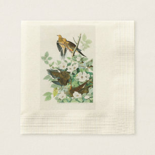 Carolina Turtle Dove John Audubon Birds of America Napkins