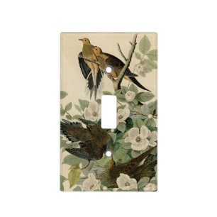 Carolina Turtle Dove Mourning Dove Audubon's Birds Light Switch Cover
