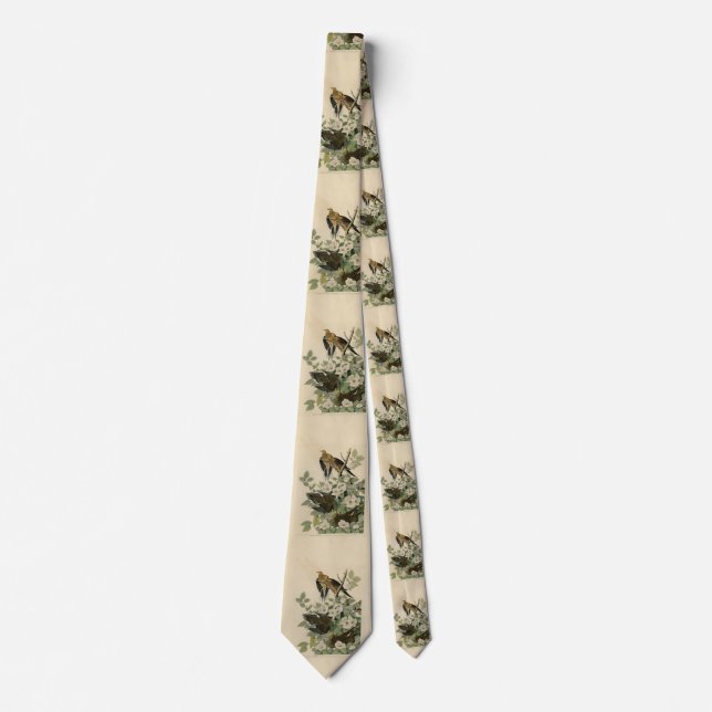 Carolina Turtle Dove Mourning Dove Audubon's Birds Neck Tie (Front)