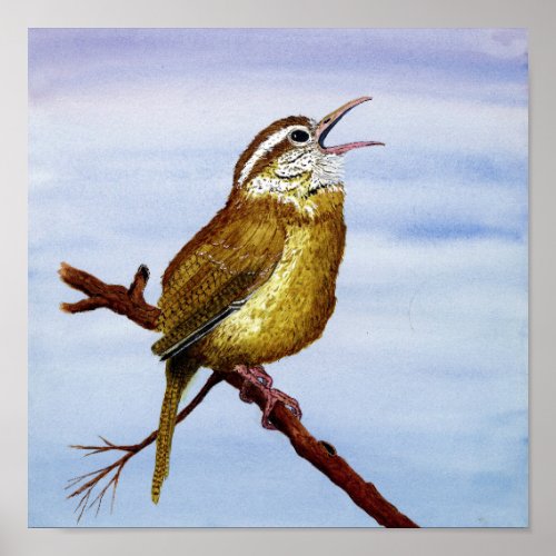 Carolina Wren Art Poster