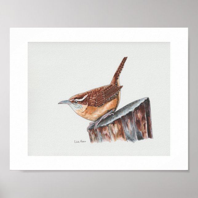 Carolina Wren Art Print (Front)