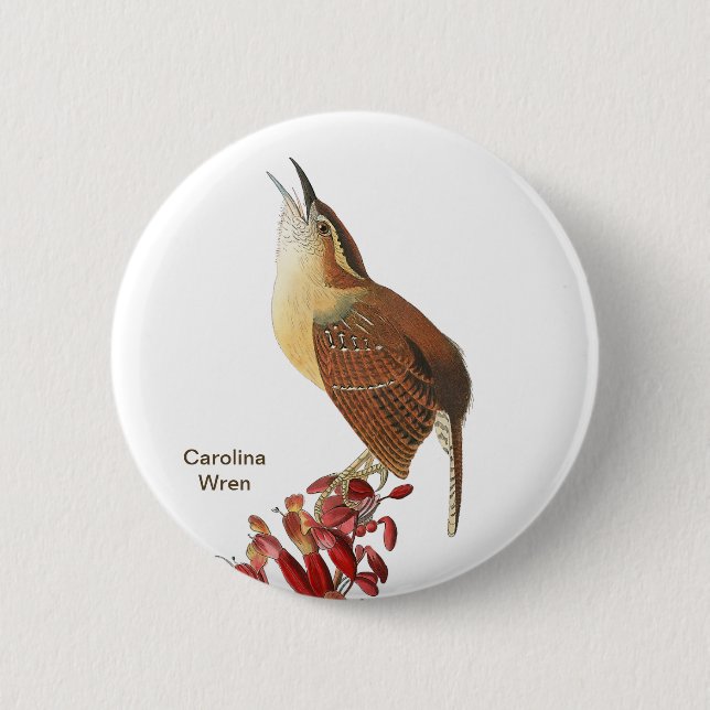 Carolina Wren, Audubon, Backyard Birdwatcher Bird  Button (Front)