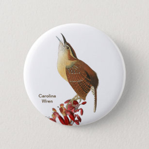 Carolina Wren, Audubon, Backyard Birdwatcher Bird  Button