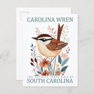 Carolina Wren Bird of South Carolina Travel Postcard