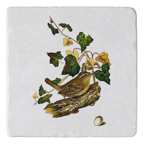 Carolina Wren Bird Trivet