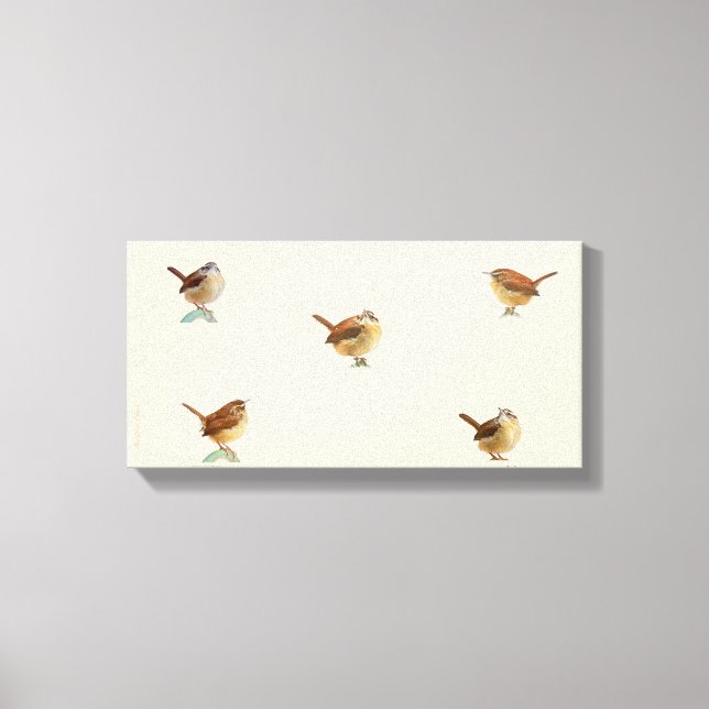 Carolina Wren Canvas Print (Front)