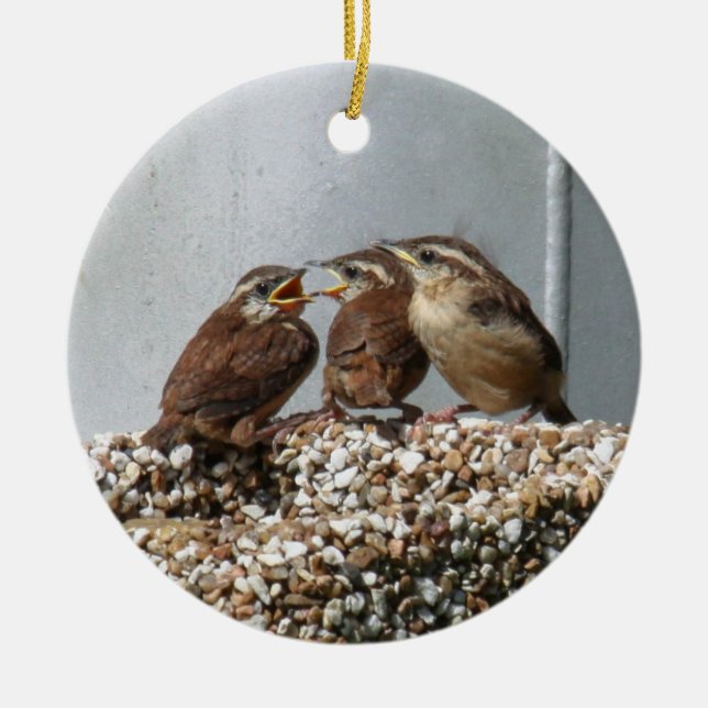 Carolina Wren Ceramic Ornament (Front)