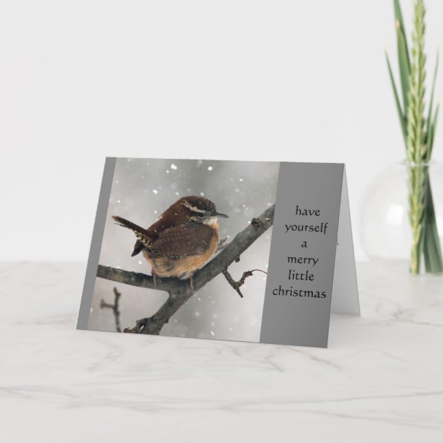 Carolina Wren Christmas card (Front)