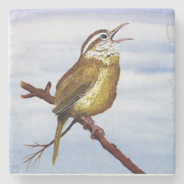 Carolina Wren Coaster (Front)