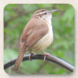 Carolina Wren Coaster<br><div class="desc">Enjoy your drink with the help of a cute Carolina Wren!</div>