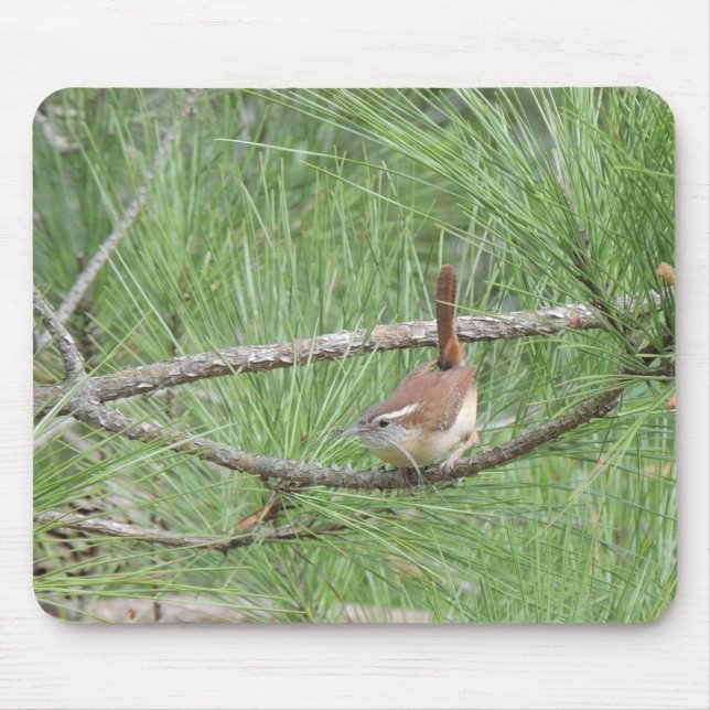 Carolina Wren in Pine Tree Mouse Pad (Front)